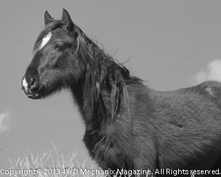 B&W Getting Wiser by the Day!