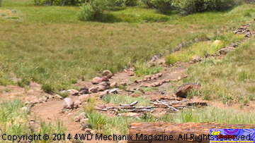 New single track trail into the meadow at Dog Valley